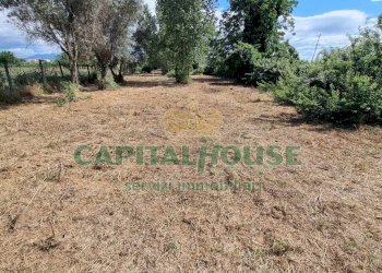 Foto 8 - Terreno agricolo Recale - foto 8