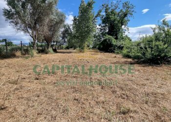 Foto 9 - Terreno agricolo Recale - foto 9