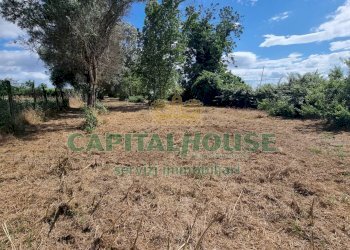 Foto 11 - Terreno agricolo Recale - foto 11