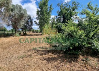 Foto 12 - Terreno agricolo Recale - foto 12