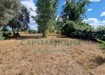 Foto 13 - Terreno agricolo Recale - foto 13