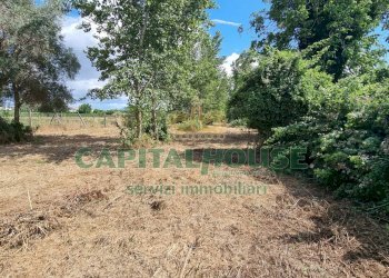 Foto 14 - Terreno agricolo Recale - foto 14