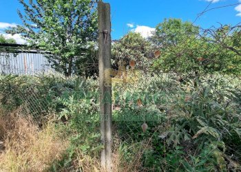 Foto 15 - Terreno agricolo Recale - foto 15