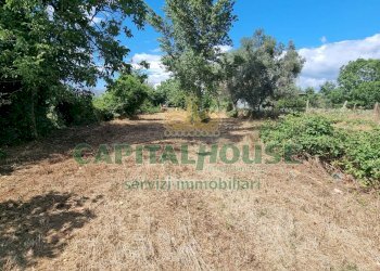 Foto 17 - Terreno agricolo Recale - foto 17