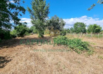 Foto 18 - Terreno agricolo Recale - foto 18