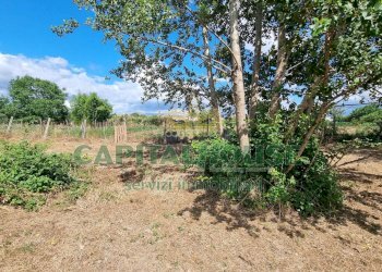 Foto 19 - Terreno agricolo Recale - foto 19