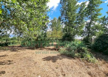 Foto 20 - Terreno agricolo Recale - foto 20