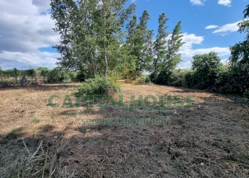 Foto 21 - Terreno agricolo Recale - foto 21