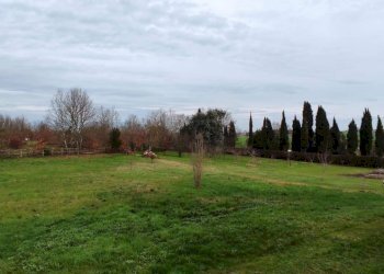 Foto 11 - Terreno edificabile Via Scacciapolli, Fauglia - foto 1