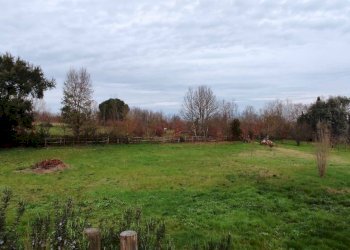 Foto 14 - Terreno edificabile Via Scacciapolli, Fauglia - foto 4