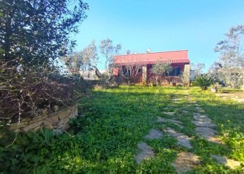 Casa all\'aperto - Villa Sannicola - foto 16