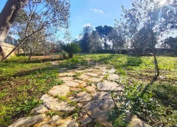 Giardino - Villa Sannicola - foto 17