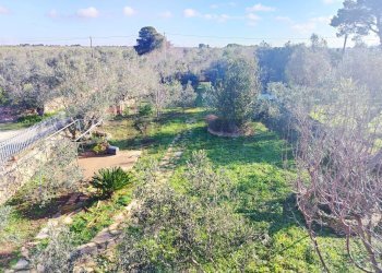 Non correlato - Villa Sannicola - foto 19