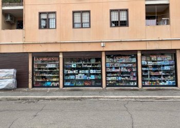 Foto 9 - Commercial Premises Via Amico Aspertini
 
235, Roma - photo 4