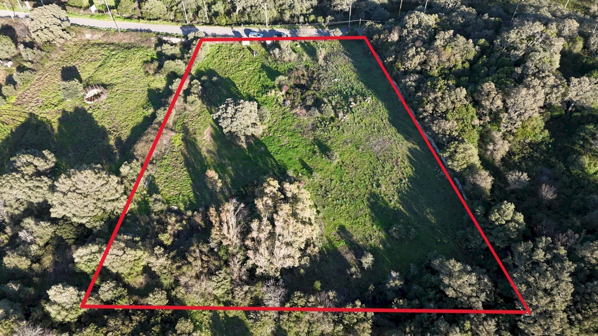 Foto 2 - Terreno edificabile ZONA RIONE S.PAOLO FRONTE STRADA ABELTINO
 
SNC, Luogosanto - foto 2