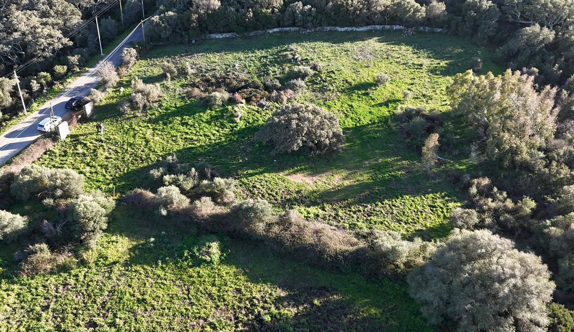 Foto 3 - Terreno edificabile ZONA RIONE S.PAOLO FRONTE STRADA ABELTINO
 
SNC, Luogosanto - foto 3