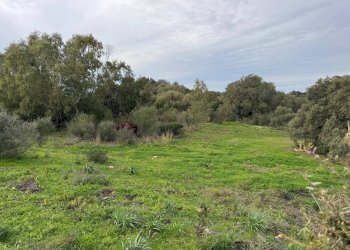 Foto 8 - Terreno edificabile ZONA RIONE S.PAOLO FRONTE STRADA ABELTINO
SNC, Luogosanto - foto 8