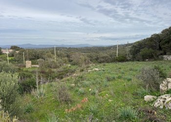 Foto 9 - Terreno edificabile ZONA RIONE S.PAOLO FRONTE STRADA ABELTINO
SNC, Luogosanto - foto 9