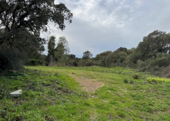 Foto 10 - Terreno edificabile ZONA RIONE S.PAOLO FRONTE STRADA ABELTINO
SNC, Luogosanto - foto 10