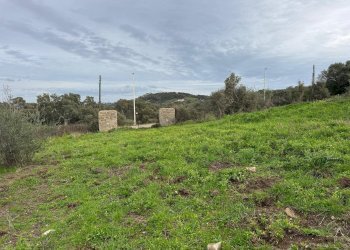 Foto 11 - Terreno edificabile ZONA RIONE S.PAOLO FRONTE STRADA ABELTINO
SNC, Luogosanto - foto 11