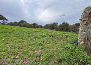 Foto 12 - Terreno edificabile ZONA RIONE S.PAOLO FRONTE STRADA ABELTINO
SNC, Luogosanto - foto 12