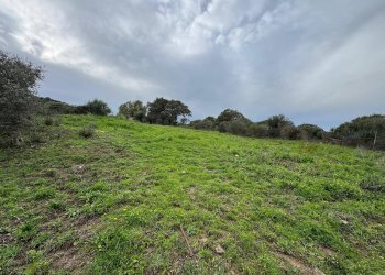 Foto 13 - Terreno edificabile ZONA RIONE S.PAOLO FRONTE STRADA ABELTINO
SNC, Luogosanto - foto 13