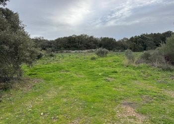 Foto 14 - Terreno edificabile ZONA RIONE S.PAOLO FRONTE STRADA ABELTINO
SNC, Luogosanto - foto 14