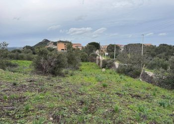 Foto 15 - Terreno edificabile ZONA RIONE S.PAOLO FRONTE STRADA ABELTINO
SNC, Luogosanto - foto 15