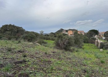 Foto 16 - Terreno edificabile ZONA RIONE S.PAOLO FRONTE STRADA ABELTINO
SNC, Luogosanto - foto 16