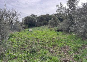 Foto 17 - Terreno edificabile ZONA RIONE S.PAOLO FRONTE STRADA ABELTINO
SNC, Luogosanto - foto 17