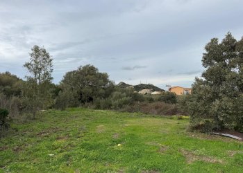 Foto 19 - Terreno edificabile ZONA RIONE S.PAOLO FRONTE STRADA ABELTINO
SNC, Luogosanto - foto 19