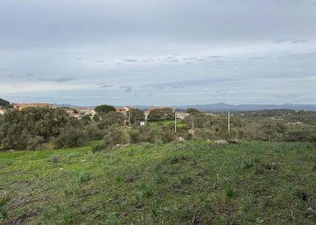 Foto 20 - Terreno edificabile ZONA RIONE S.PAOLO FRONTE STRADA ABELTINO
SNC, Luogosanto - foto 20