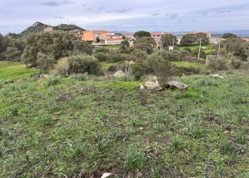 Foto 23 - Terreno edificabile ZONA RIONE S.PAOLO FRONTE STRADA ABELTINO
SNC, Luogosanto - foto 23