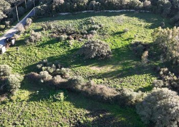 Foto 3 - Terreno edificabile ZONA RIONE S.PAOLO FRONTE STRADA ABELTINO
SNC, Luogosanto - foto 3