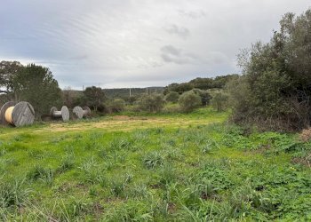 Foto 4 - Terreno edificabile FRONTE STRADA ZONA RIONE S.PAOLO
SNC, Luogosanto - foto 4