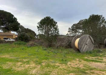 Foto 6 - Terreno edificabile FRONTE STRADA ZONA RIONE S.PAOLO
SNC, Luogosanto - foto 6