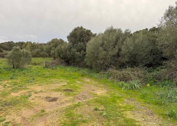 Foto 9 - Terreno edificabile FRONTE STRADA ZONA RIONE S.PAOLO
SNC, Luogosanto - foto 9