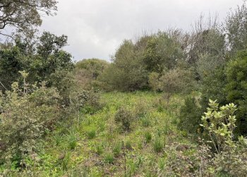 Foto 10 - Terreno edificabile FRONTE STRADA ZONA RIONE S.PAOLO
SNC, Luogosanto - foto 10