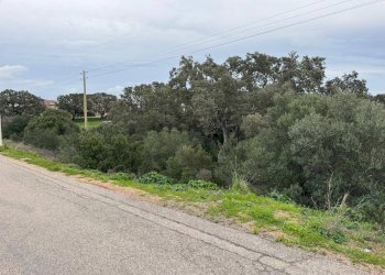 Foto 11 - Terreno edificabile FRONTE STRADA ZONA RIONE S.PAOLO
SNC, Luogosanto - foto 11