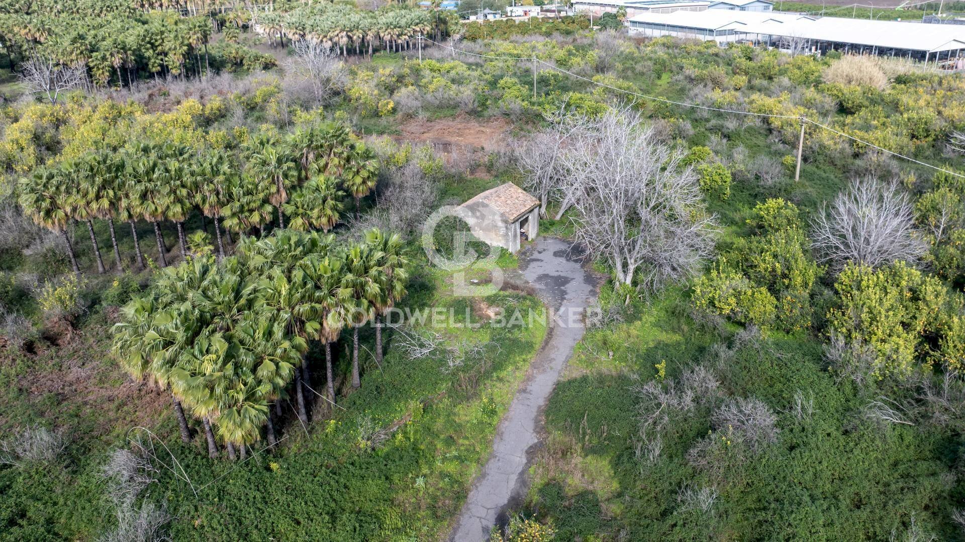 Foto 2 - Agricultural land Via Pietralonga
 
3, Mascali - photo 2