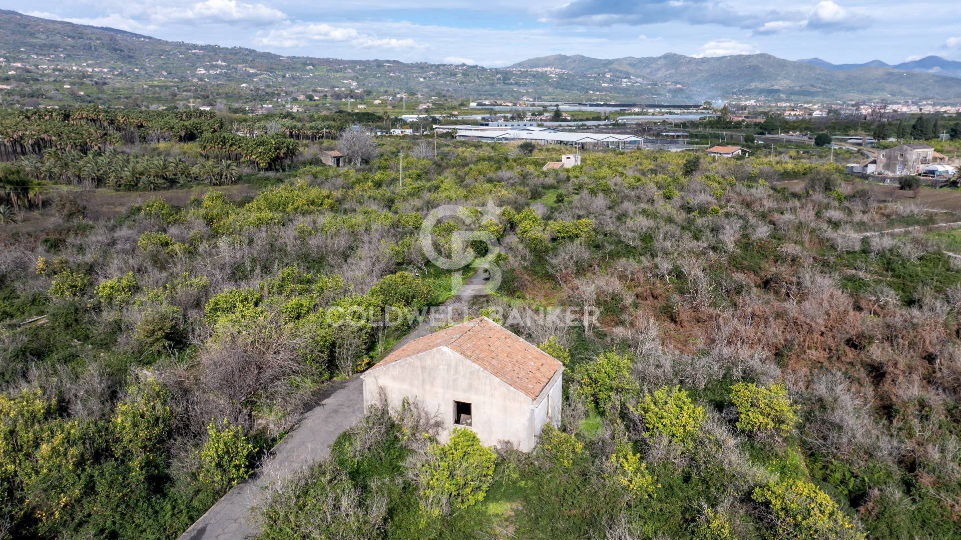 Foto 3 - Agricultural land Via Pietralonga
 
3, Mascali - photo 3