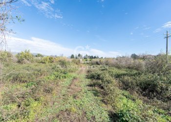 Foto 8 - Agricultural land Via Pietralonga
 
3, Mascali - photo 8