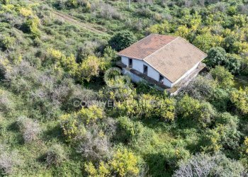 Foto 10 - Agricultural land Via Pietralonga
 
3, Mascali - photo 10