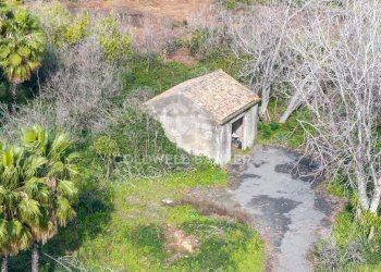 Foto 12 - Agricultural land Via Pietralonga
 
3, Mascali - photo 12