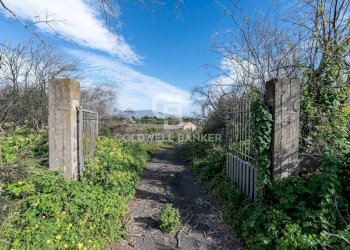 Foto 17 - Agricultural land Via Pietralonga
 
3, Mascali - photo 17