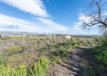 Foto 19 - Agricultural land Via Pietralonga
 
3, Mascali - photo 19