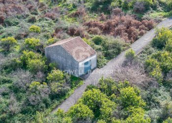 Foto 21 - Agricultural land Via Pietralonga
 
3, Mascali - photo 21