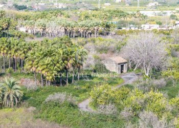 Foto 22 - Agricultural land Via Pietralonga
 
3, Mascali - photo 22