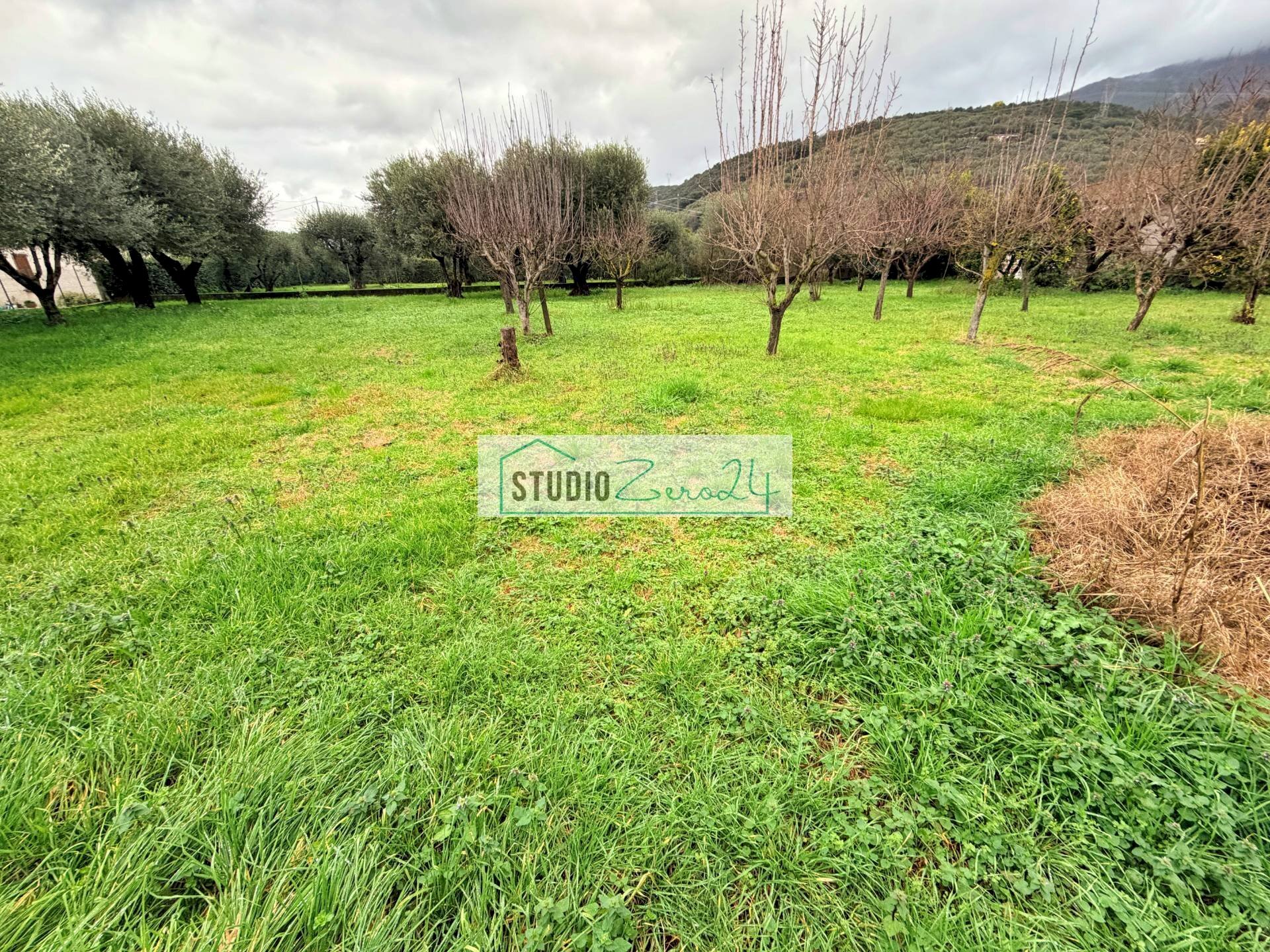 Foto 3 - Villa Via bonazzera, Pietrasanta - foto 3