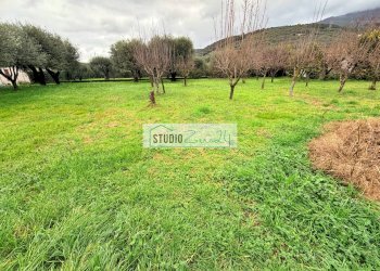 Foto 3 - Villa Via bonazzera, Pietrasanta - foto 3